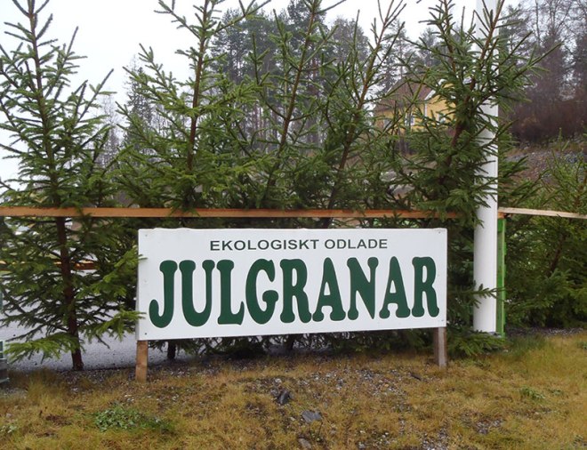 Granar till salu./Fir trees for sale.