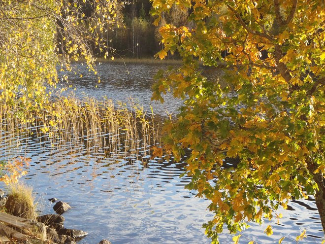 Sjön själv/the lake itself.