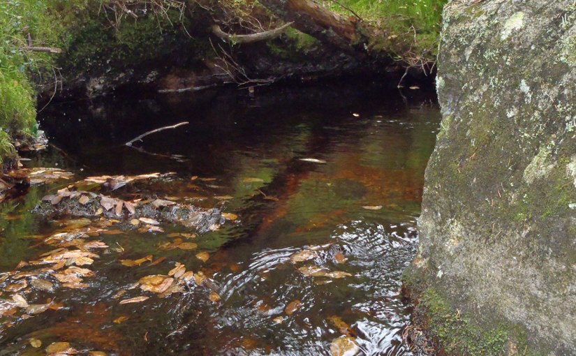 Oktoberlördag/October Saturday