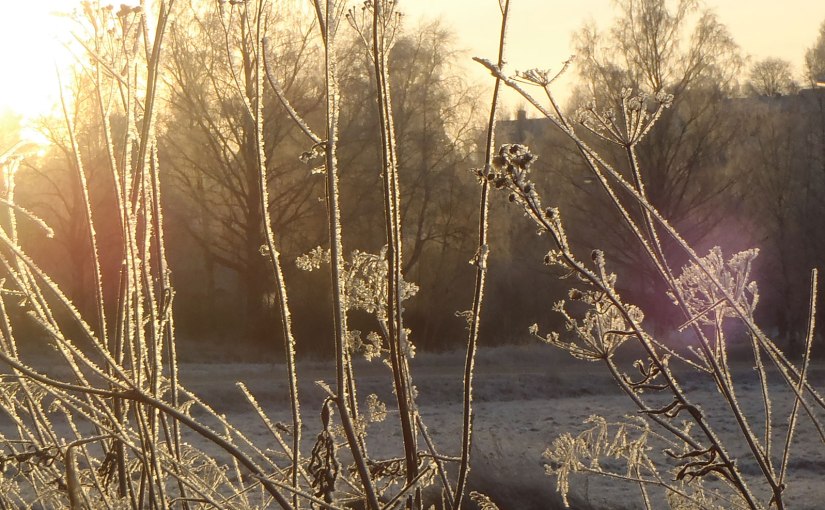 Mellandagar i Kramfors/Intermediate days in&nbsp;Kramfors