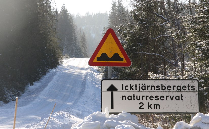 En perfekt vinterdag/A perfect winter&nbsp;day