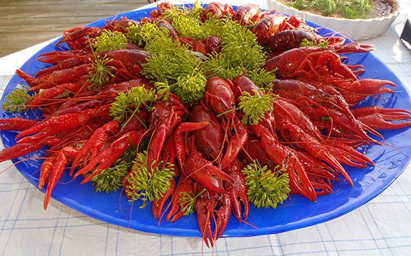 Så ska det se ut!/That's how it should look!