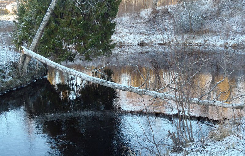 Stormsäkert/Storm proof