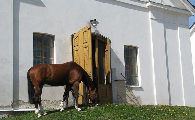 En solig dag på jobbet/A sunny day at&nbsp;work