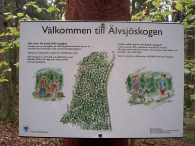 Aelvsjoeskogen2