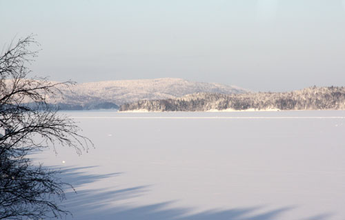 Utsikt från ett köksfönster/View from a kitchen&nbsp;window