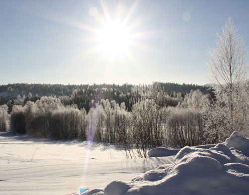 Vissa dagar är vackrare än andra./Certain days are more beautiful than others.