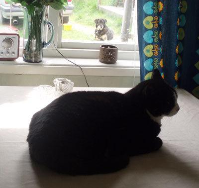 Avstånd.../Distance...