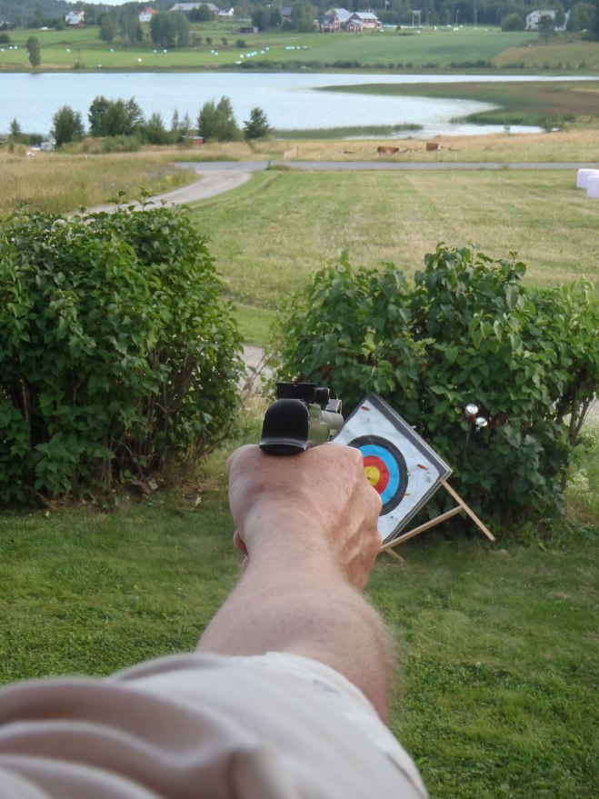 Målet är burkarna till höger, inte tavla eller kor./The target is the cans to the right, not board or cows.