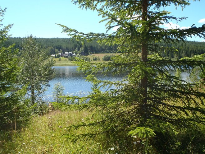 Vi har klarat av skogsstigen och kommit ut på lägdan./We have managed the forest path and come out on the meadow.