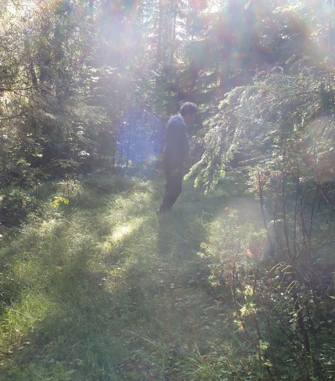 Varmt och fuktigt i skogen. Håll ögonen öppna./Warm and humid in the forest. Keep your eyes open.