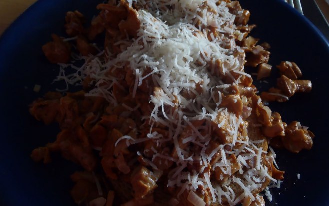 Kantareller160801-06