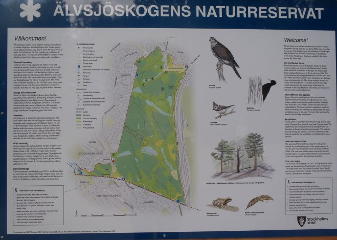 Bevis på upphöjelsen./Proof of ennoblement.