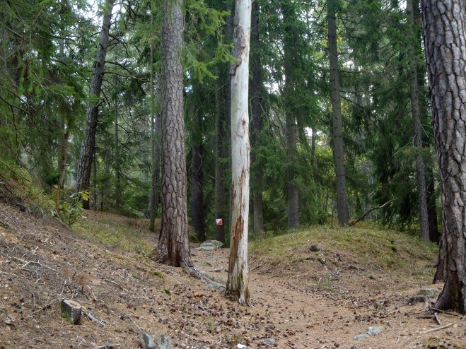 Nästan dammsugat./Almost vacuumed.