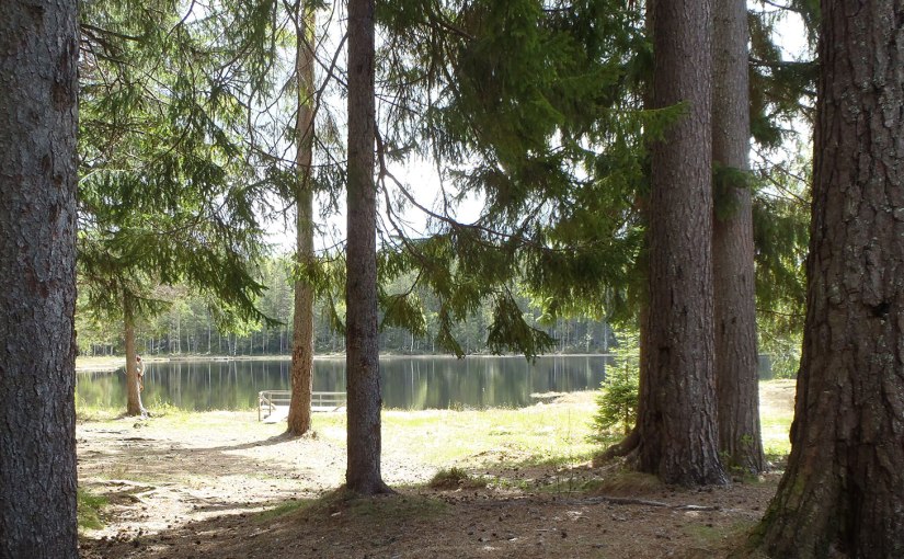 Återupptagen hobby/Resumed hobby