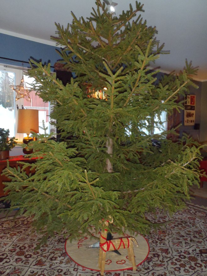 Trädet är inne./The tree is indoors.