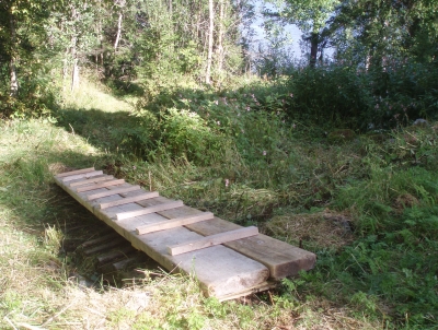 Nya bron./The new bridge.