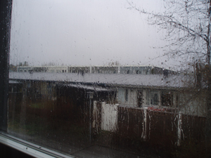 Regnig vårdag./Rainy spring day.