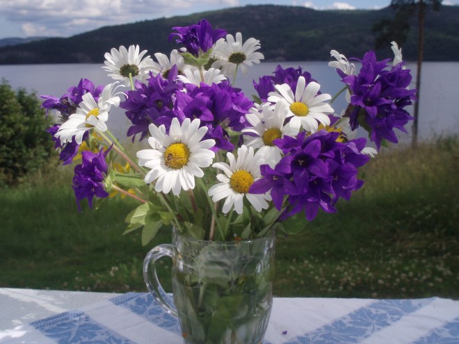 Sommarblommor/Summer flowers