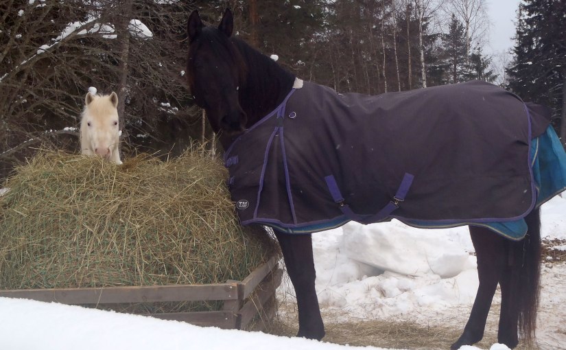 Trevligt möte/Nice meeting