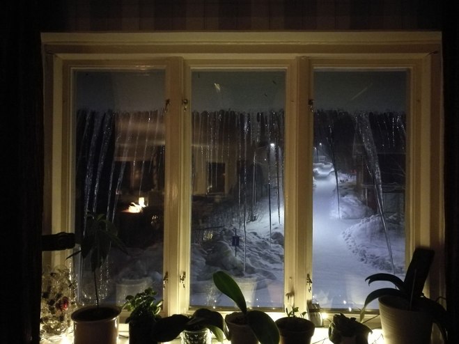 Utsikt från köksfönstret, kvällstid