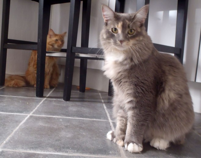 Syskonen. /The siblings.