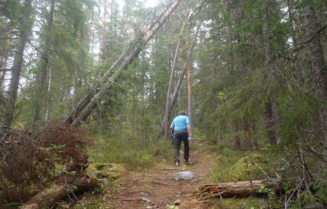 Uppför berget. Up the hill.