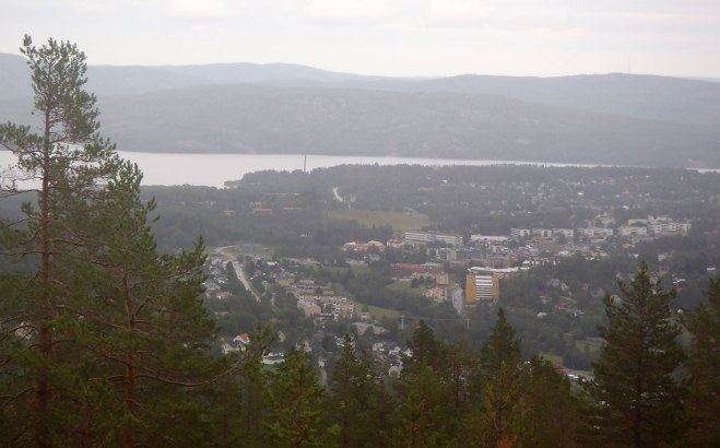 En närmare titt. A closer view.