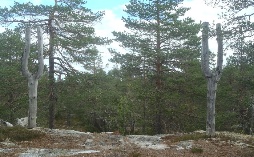 Tuäggen II Aug&nbsp;2018