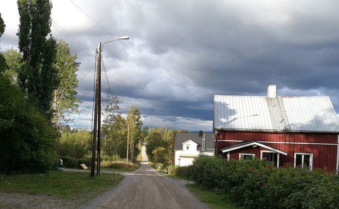Höstmoln? Autumn clouds?