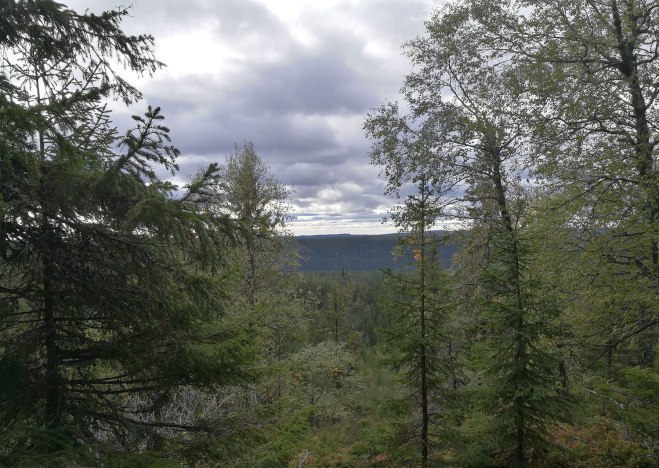 Tillbakablick. Look back.