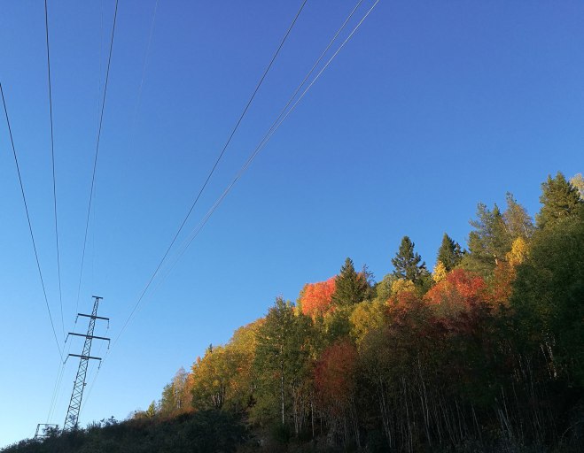 Hösthimmel. Autumn sky.