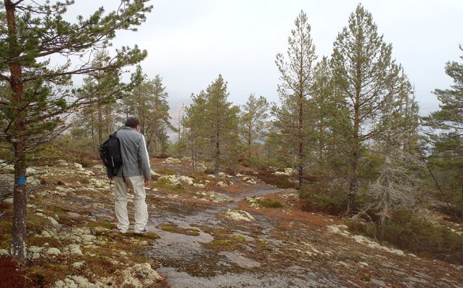 Vi gick ner mer på baksidan av berget. We went down more on the back side of the mountain.