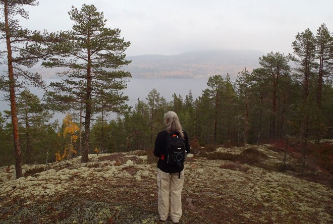 Förberedelse för fotografering. Preparation for photographing.