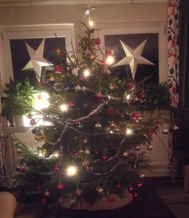 Julgranen. Mindre än tidigare år eftersom ett biljardbord tagit över julgransplatsen. The Christmas tree. Smaller than in previous years because a pool table has taken over the Christmas tree spot.