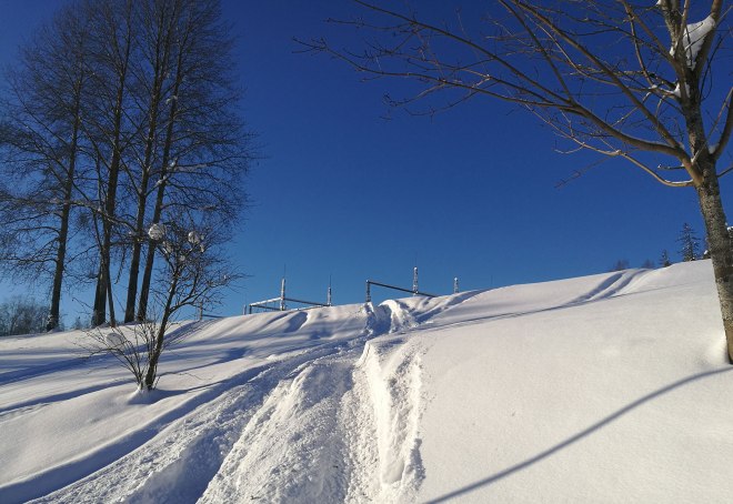 Elverket. The electricity generating plant.