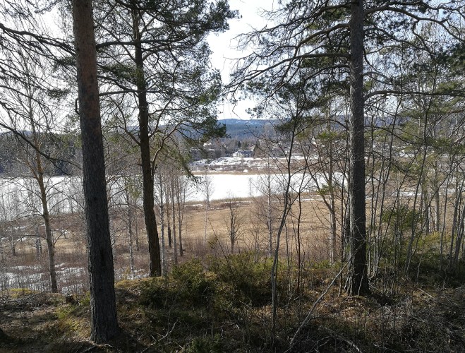 Utsikt mot Gumåsviken.