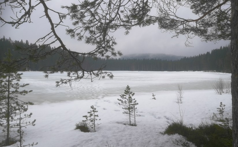 Icktjärn igen/again