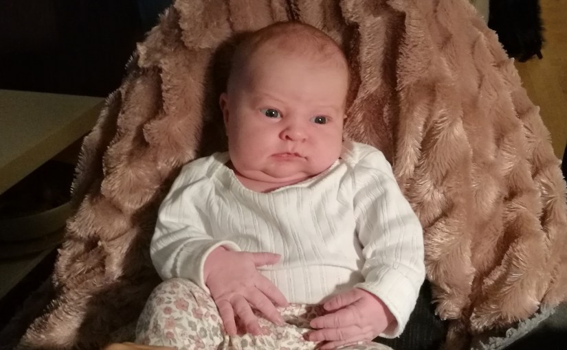 På besök hos Ebba/Visiting&nbsp;Ebba