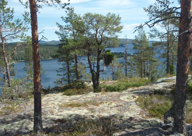 Hornöbergets utsikt