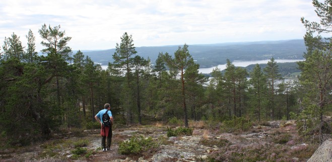 Sigge beundrar första utsikten