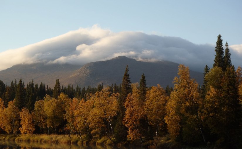 Till Enaforsholm igen/To Enaforsholm&nbsp;again