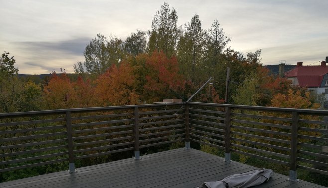 Fågelbord på plats