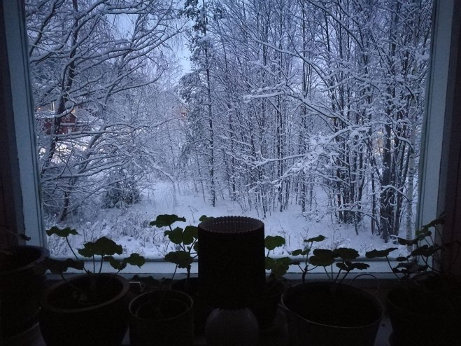 Utsikt från ett sovrumsfönster