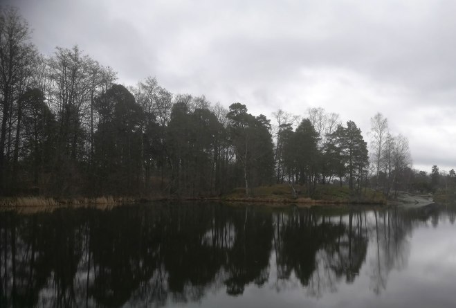 Udde i norra änden av Långsjön