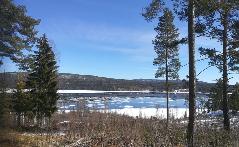 Snabba kast, vår igen/Sudden changes, spring&nbsp;again