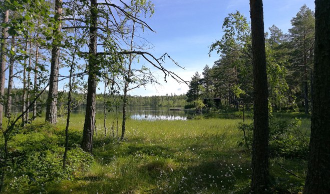 Mäjasjön