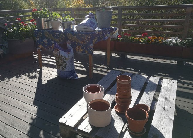 Början av pmplanteringen