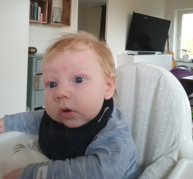 Nils undrar, vad nu?