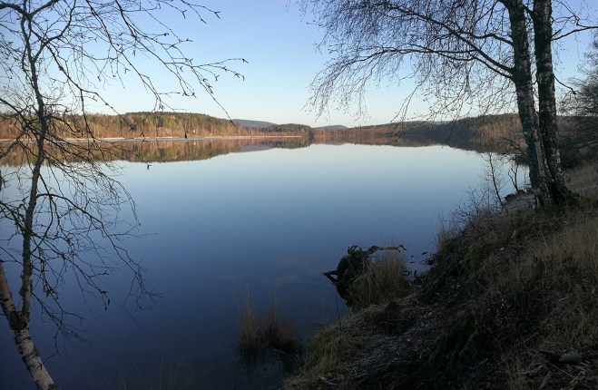 Utsikt över Kyrkviken